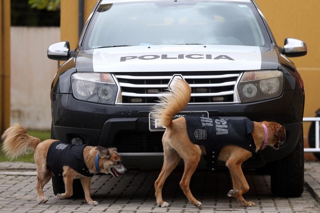  | Albari Rosa/Gazeta do Povo
