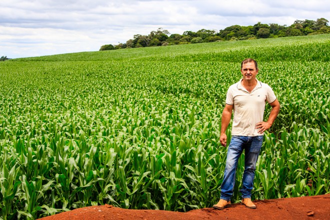  | Michel Willian/Gazeta do Povo