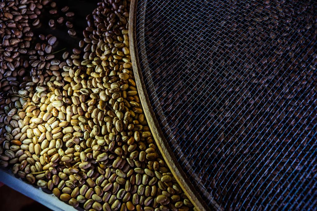  | Michel Willian/Gazeta do Povo