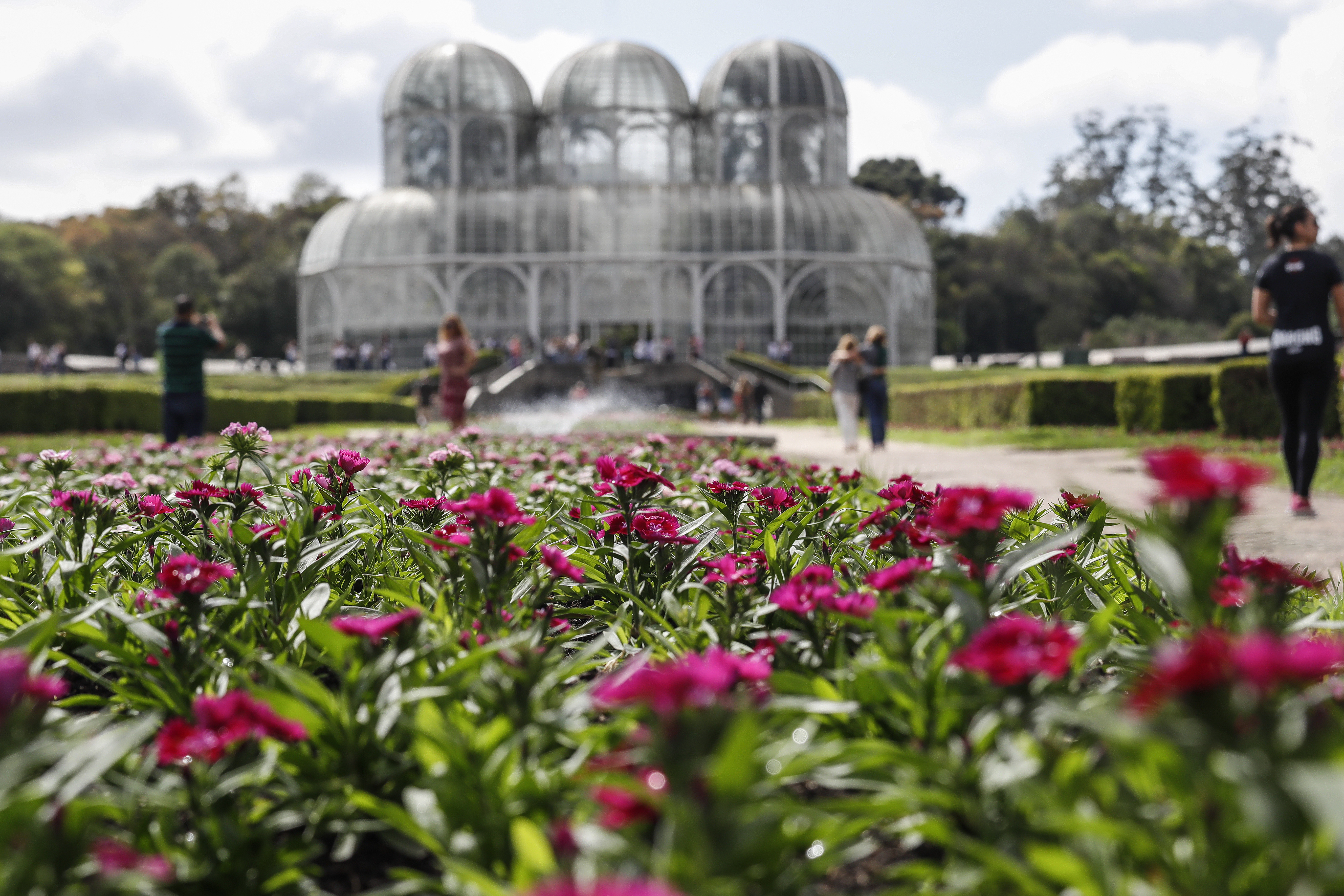 | Jonathan Campos/Gazeta do Povo