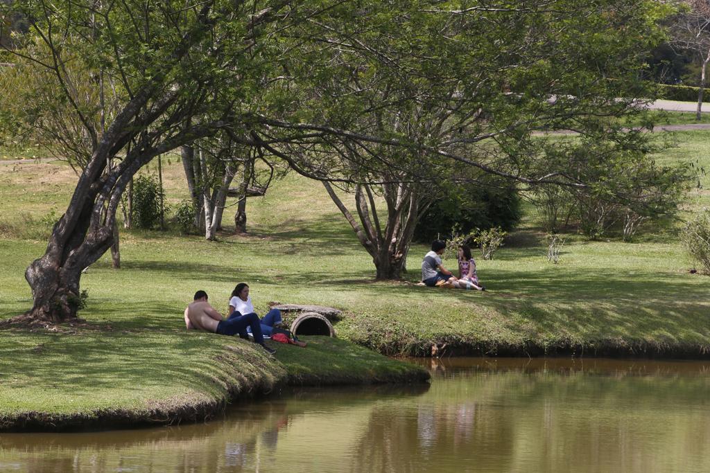 | Aniele Nascimento/Gazeta do Povo