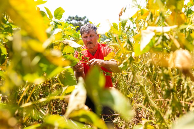  | Michel Willian/Gazeta do Povo