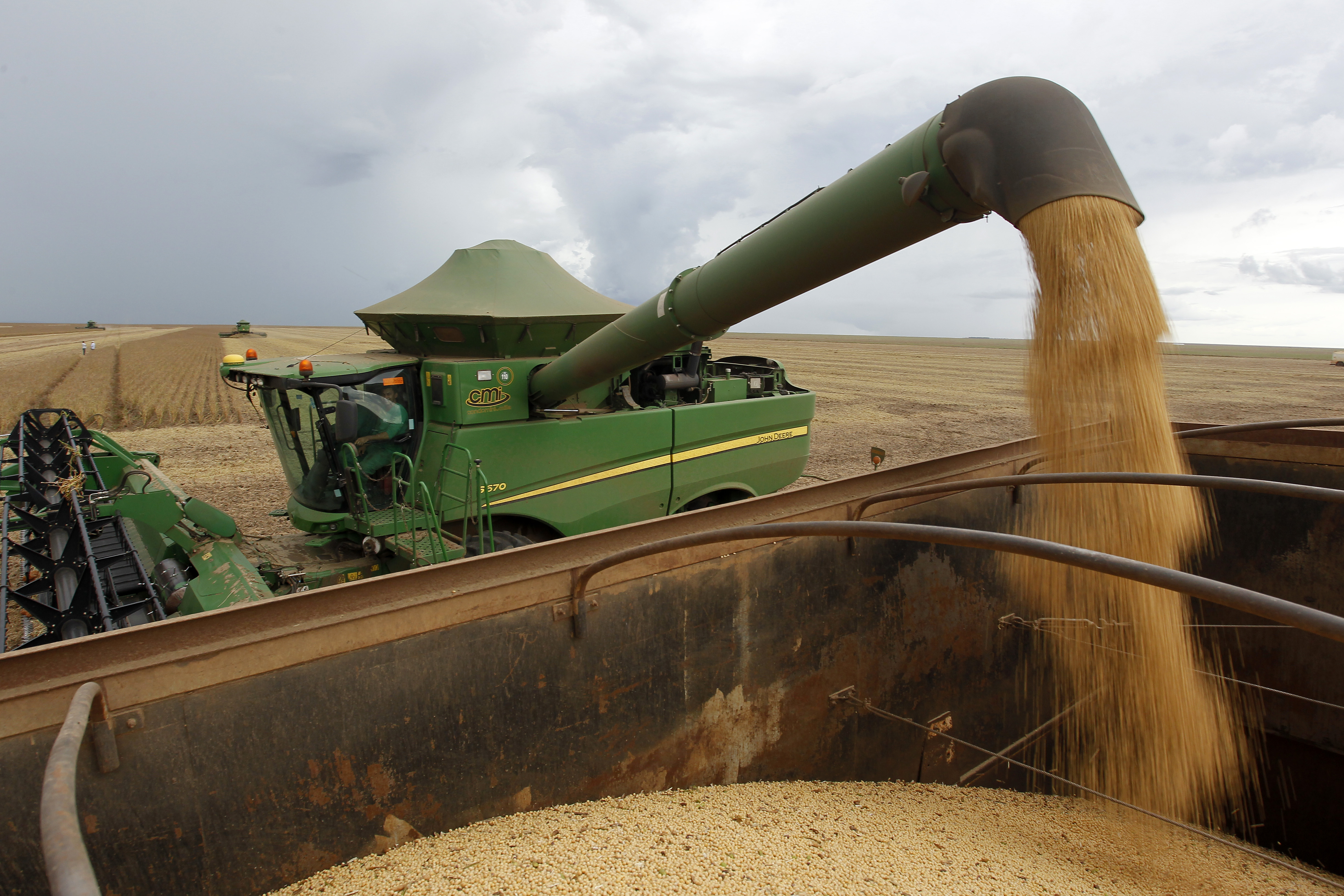  | Daniel Caron/Gazeta do Povo