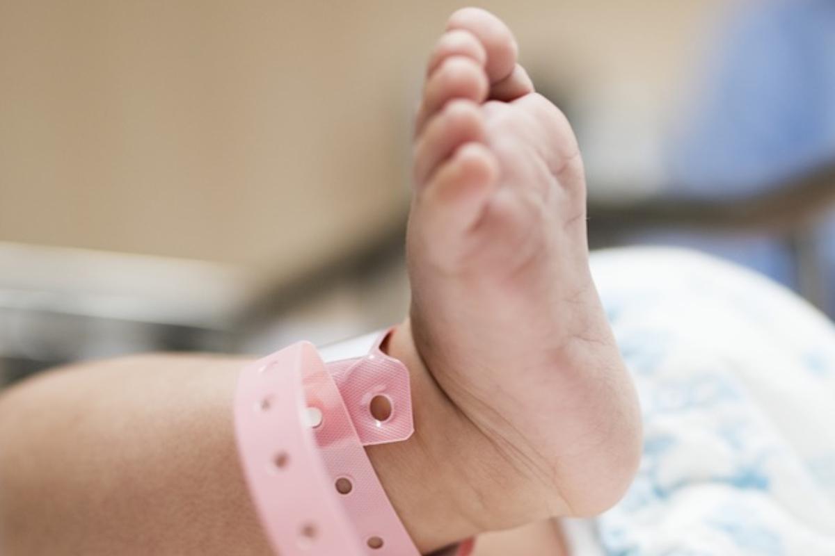 Imagem ilustrativa | Reprodução/Pixabay