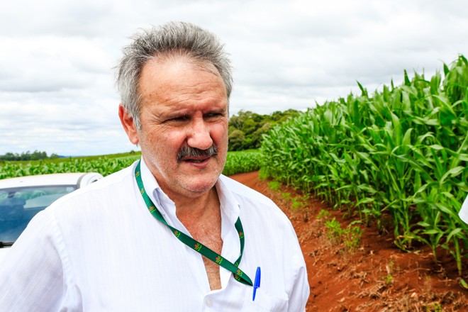  | Michel Willian/Gazeta do Povo