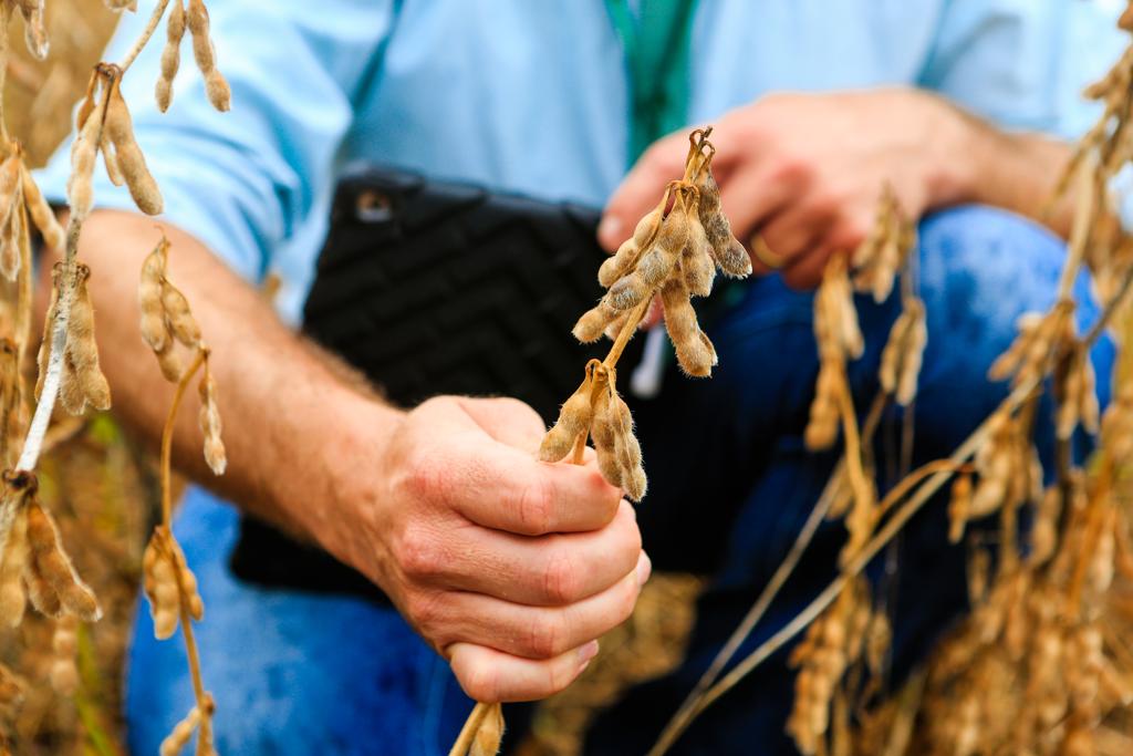  | Michel Willian/Gazeta do Povo