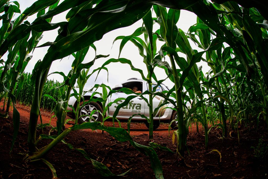  | Michel Willian/Gazeta do Povo