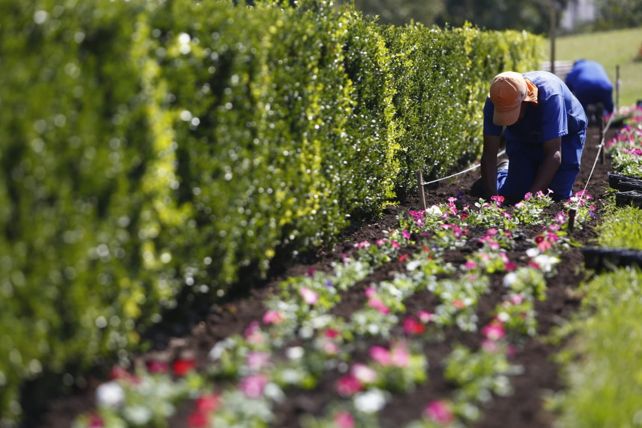 Equipes da Secretaria de Meio Ambiente já começaram a plantar novas flores (Foto: Aniele Nascimento/Gazeta do Povo)