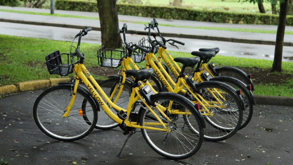 bicletas compartilhadas em parque de Curitiba