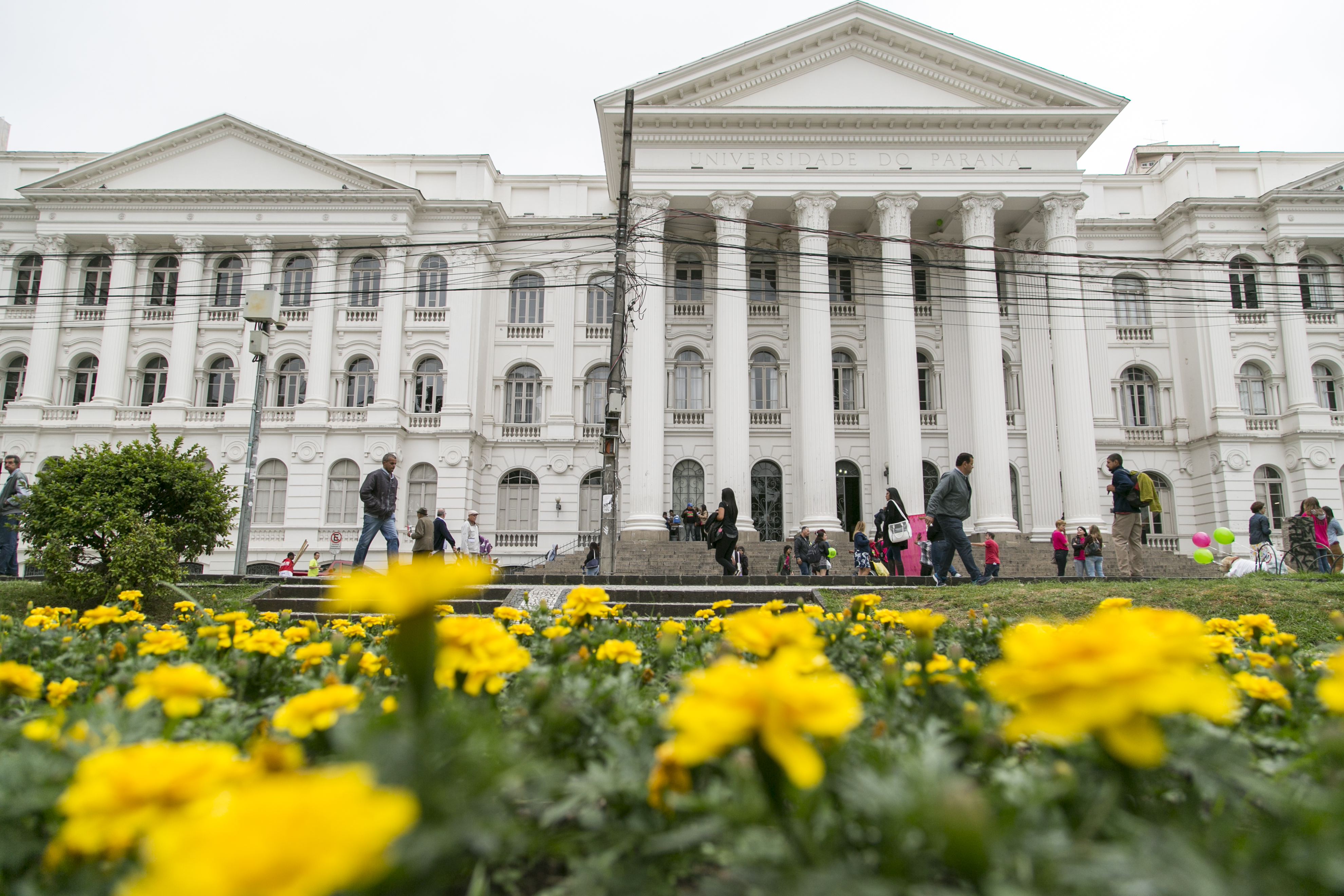 Prédio histórico da UFPR com flores amarela à frente