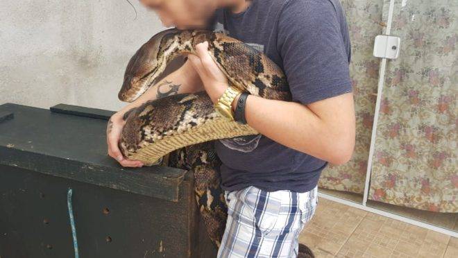 Homem beijando cobra