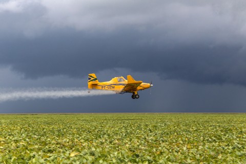 Anvisa planeja ‘faxina’ em lista de ingredientes ativos de agroquímicos A lista da Anvisa deve excluir do mercado substâncias já consideradas obsoletas, ou seja, que não são mais usadas. | Rogério Machado/Gazeta do Povo