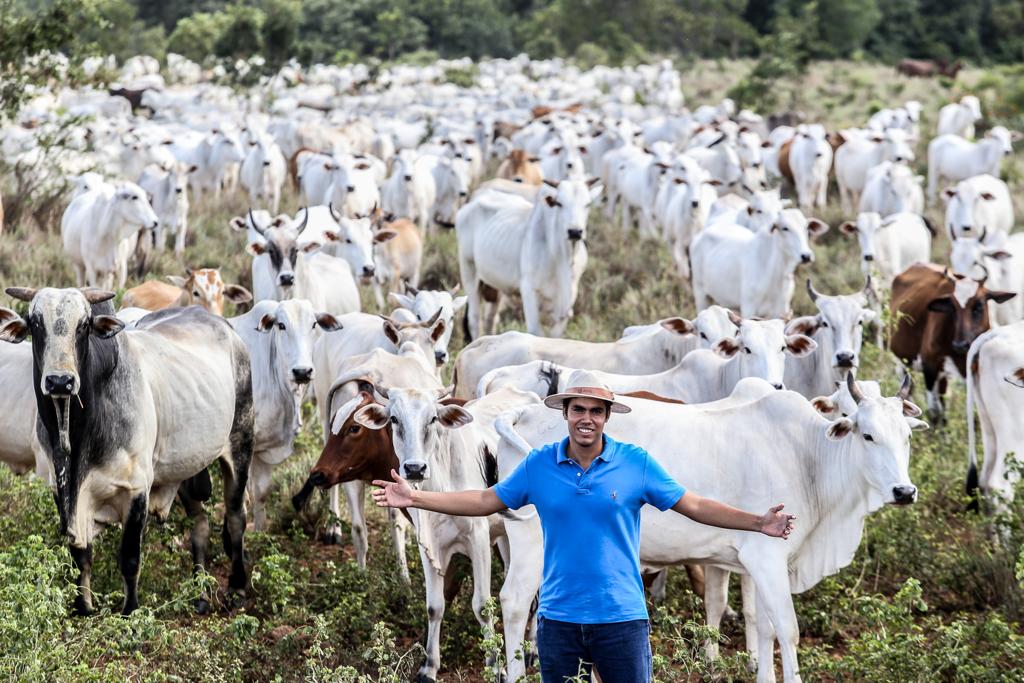 Carlos Henrique Naves Júnior, de Peixe (TO), cria boi safrinha consorciado com a soja na primeira safra. O produtor notou que trocar a pastagem pela palhada melhorou a produtividade do gado. | Rogério Machado/Gazeta do Povo