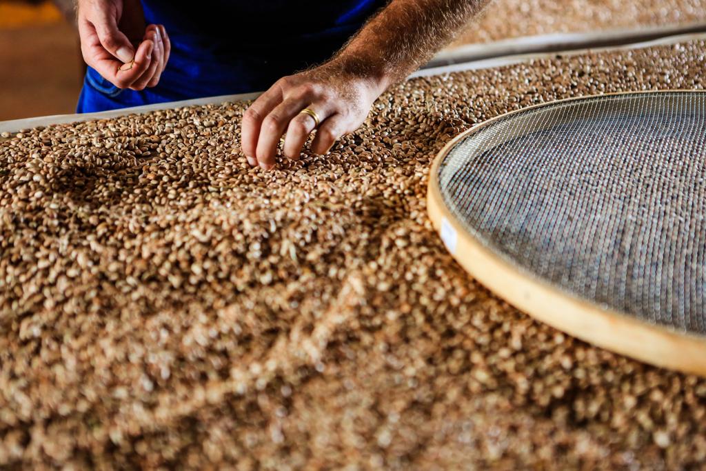  | Michel Willian/Gazeta do Povo