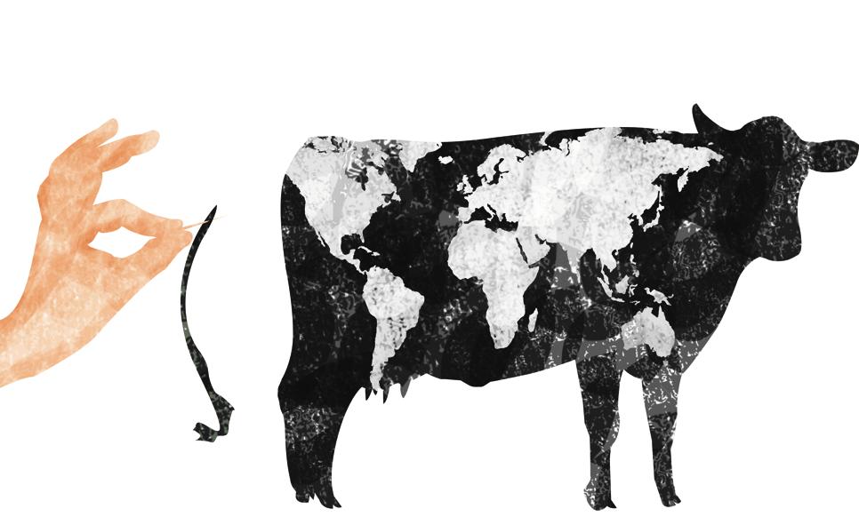 | Marcos Tavares/Thapcom