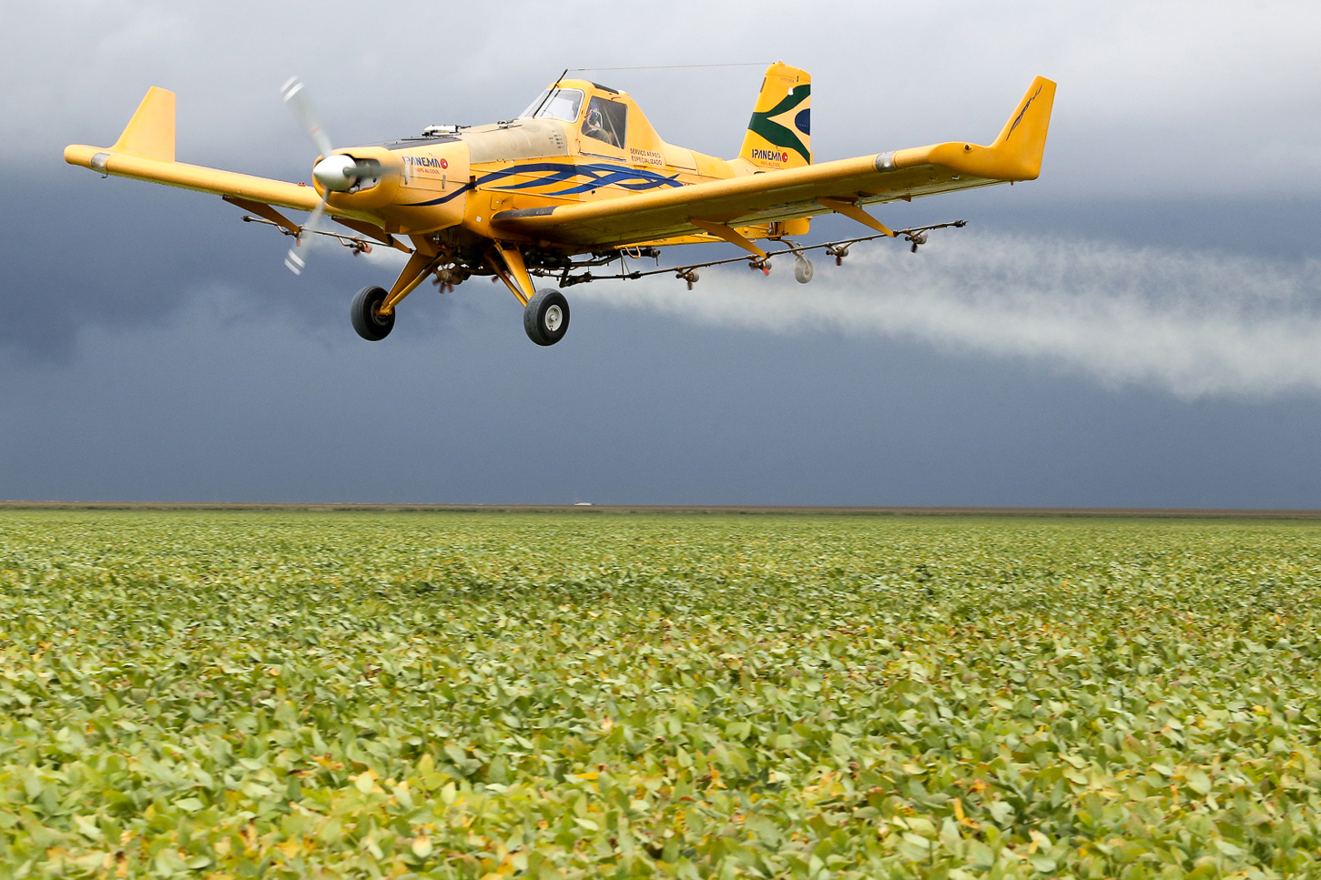 O Brasil tem a segunda maior frota mundial de aviões agrícolas, atrás apenas dos EUA. Especialistas dizem que há espaço para crescer mais. | Rogério Machado/Gazeta do Povo