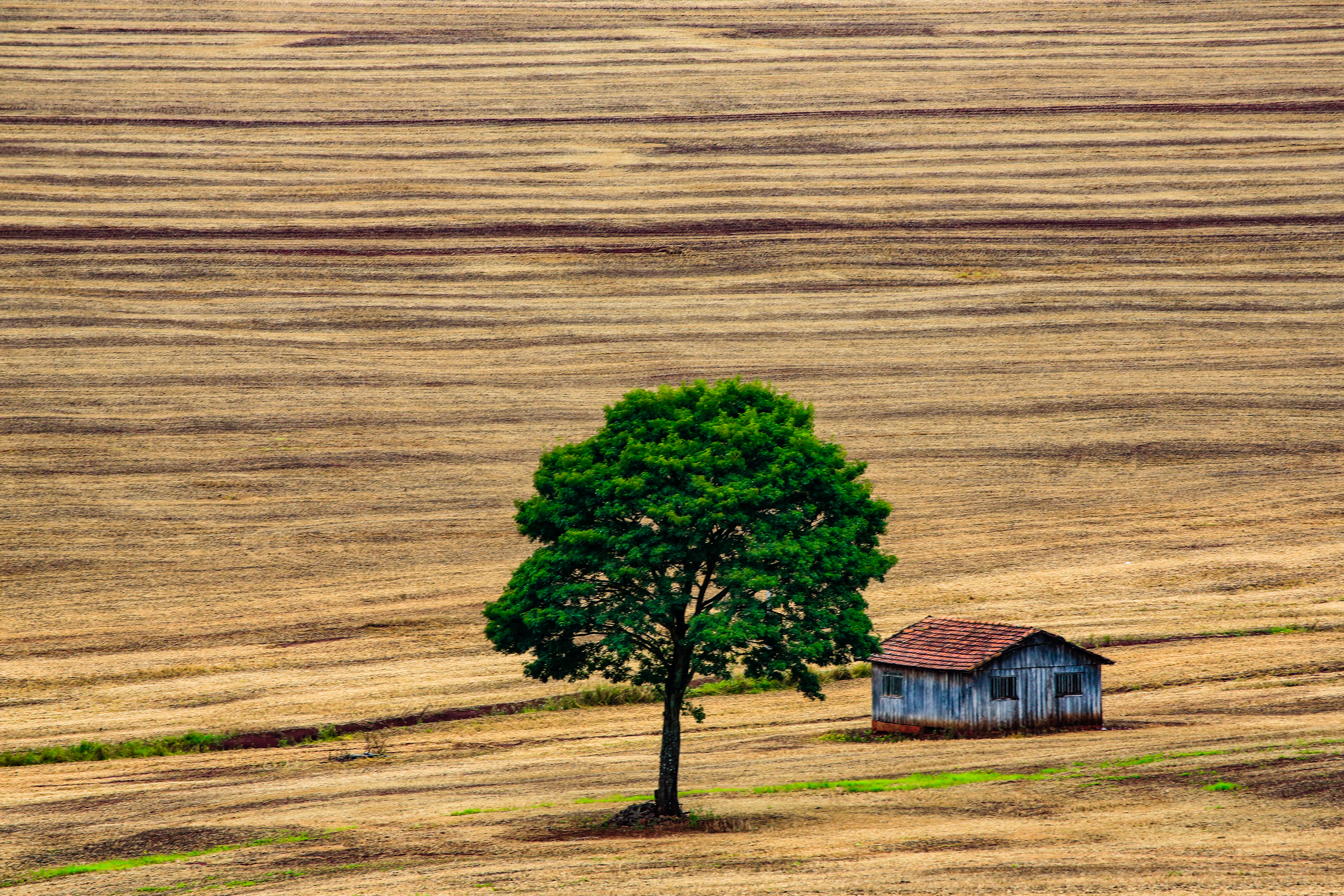 | Michel Willian/Gazeta do Povo