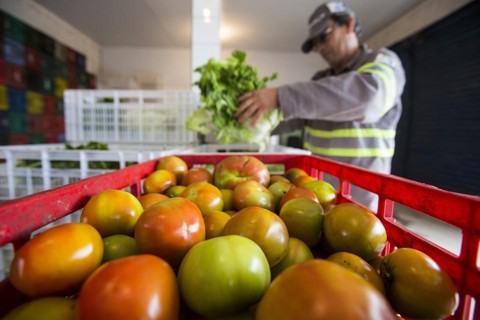 Fundação vai dar até R$ 200 mil para projeto contra desperdício de comida | Brunno Covello/Gazeta do Povo