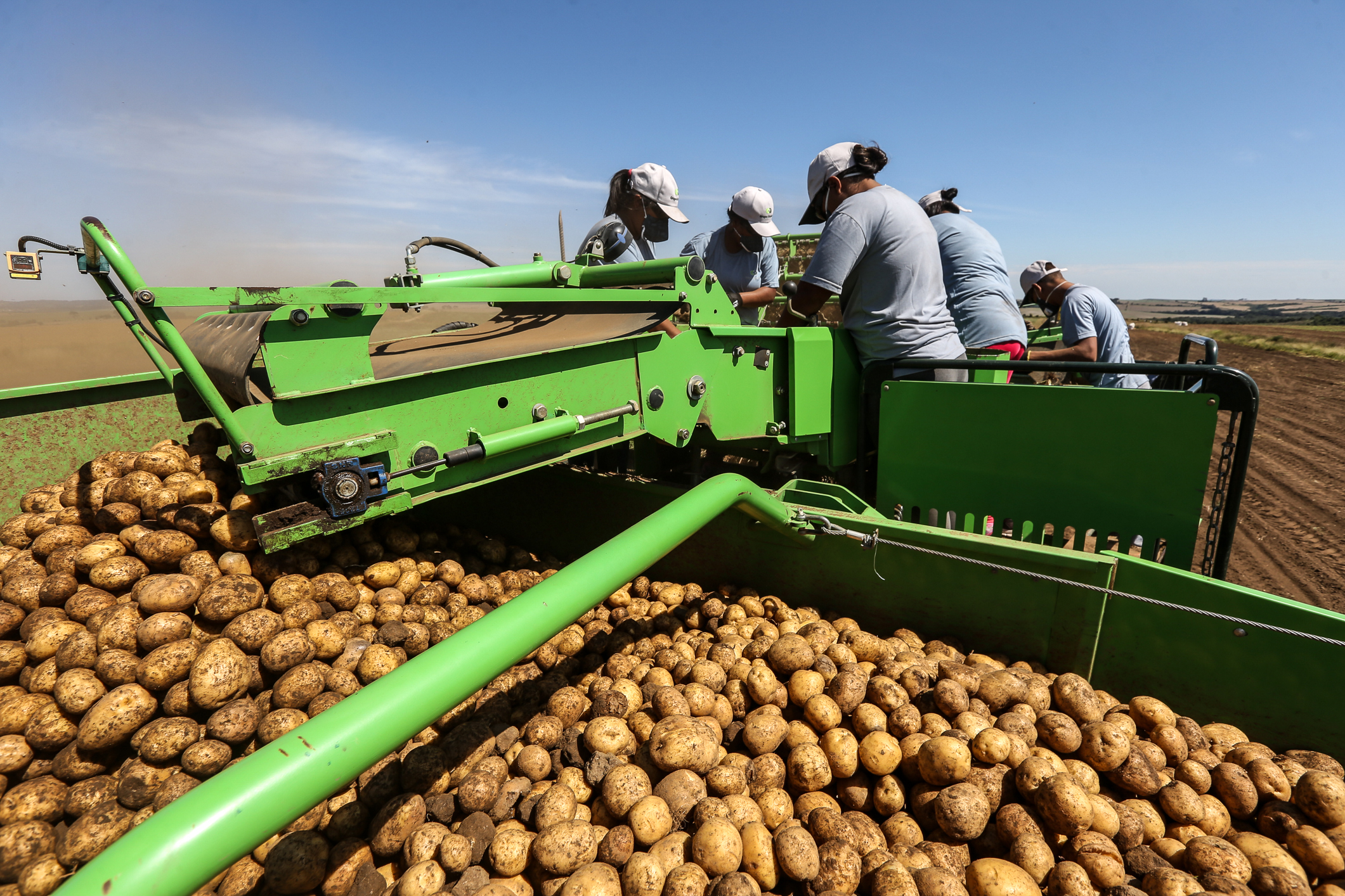 | Rogério Machado/Divulgação