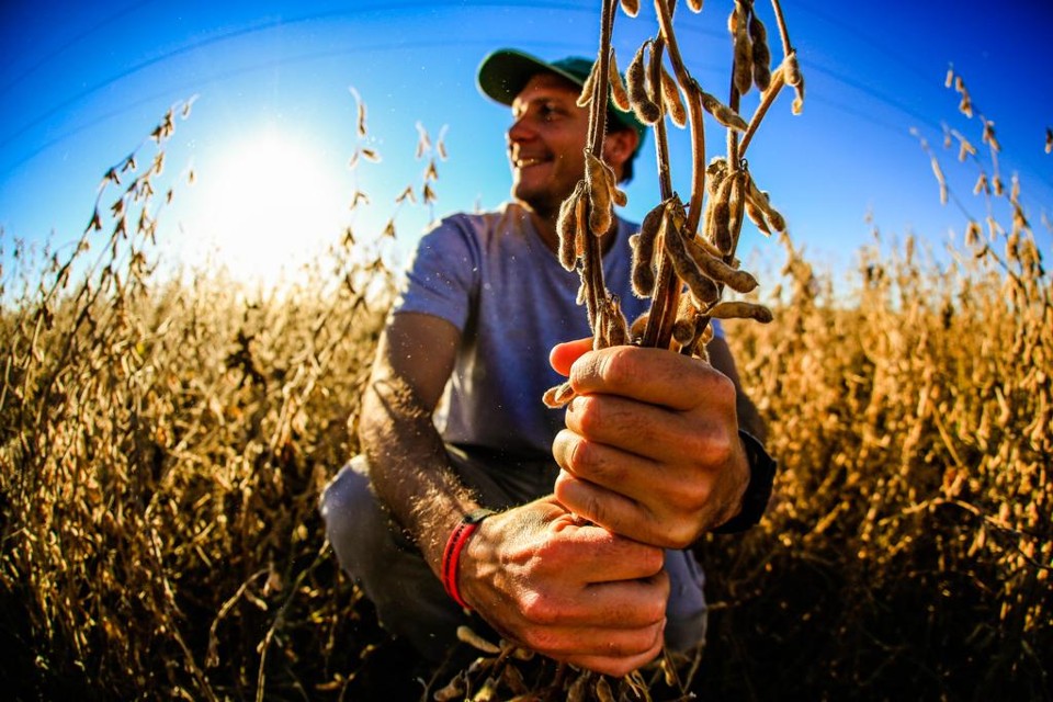 Em país sul-americano de economia dolarizada, desafio é produzir para pagar as contas Engenheiro-agrônomo Sebastián Fernandez | Michel Willian/Gazeta do Povo