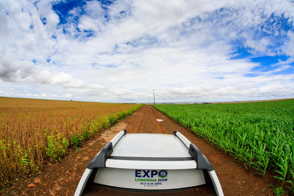  | Michel Willian/GAZETA DO POVO