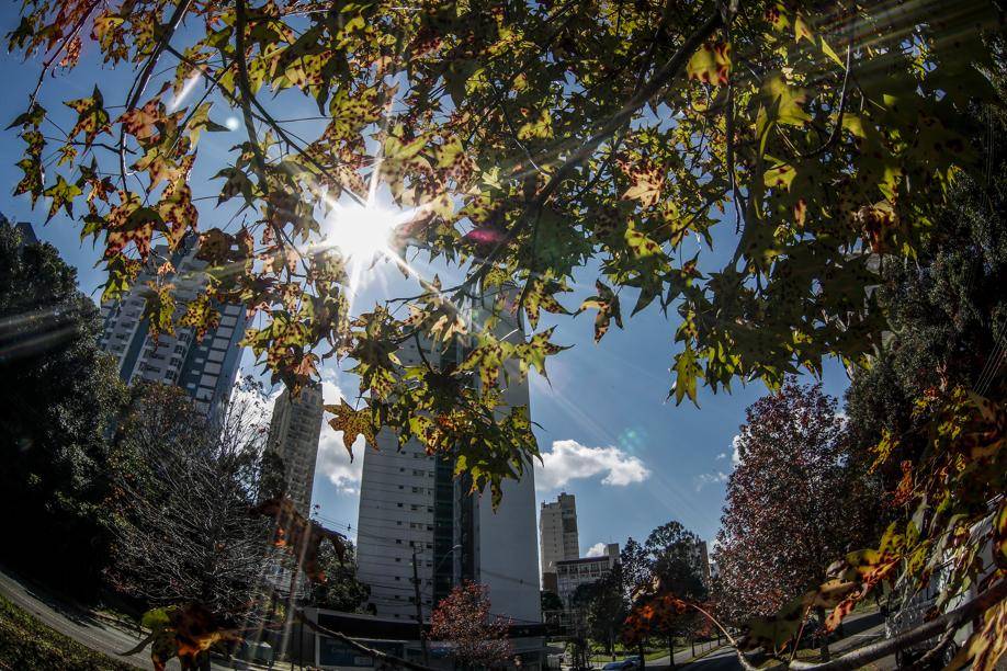 O sol vem brilhando forte e deixado o outono com cara de verão