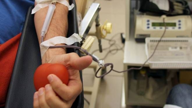 Os incentivos do Estado para doadores de sangue e até para pessoas que adotam animais de rua representam uma intervenção indevida.