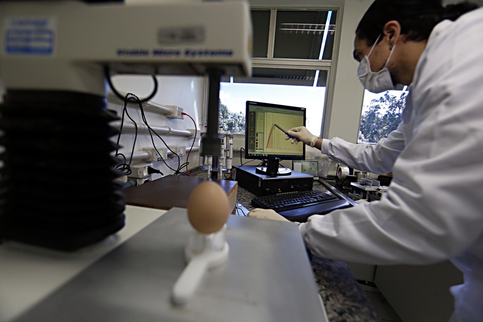 Parte dos pesquisadores teme que o enxugamento do setor inviabilize a pesquisa agropecuária, considerada vital para impulsionar a produção e geração de renda no meio rural, especialmente para os pequenos produtores. | Albari Rosa/Gazeta do Povo