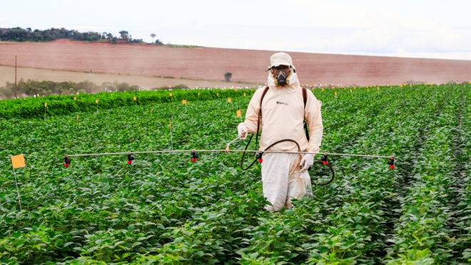 Segundo o Mapa, os produtores precisam de informação e de equipamentos adequados de proteção para fazer a aplicação de agroquímicos.