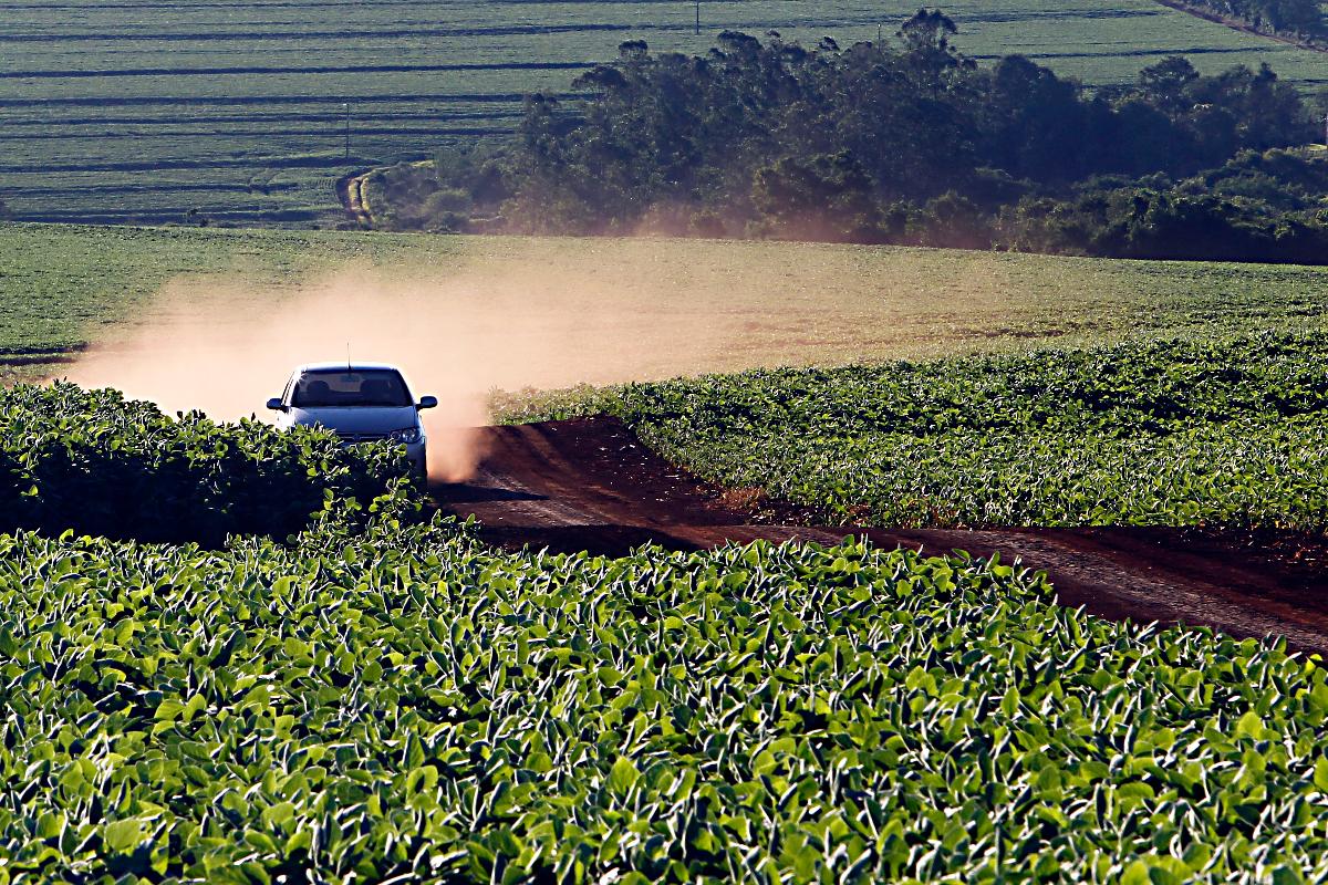 Distribuição do contrabando para os grandes centros é feita até por rotas municipais, como estradas rurais. Em Foz do Iguaçu, são usadas para driblar a fiscalização. | ALBARI ROSAALBARI ROSA