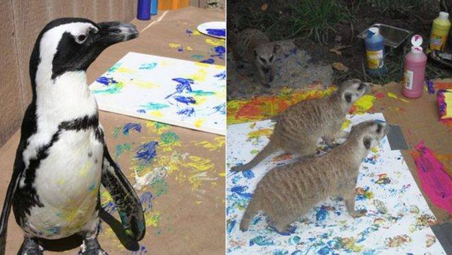 Animais de diversos zoológicos dos EUA produziram as obras | Divulgação
