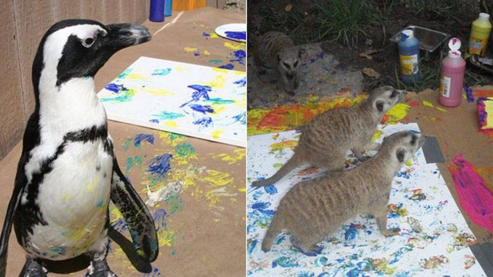 Animais de diversos zoológicos dos EUA produziram as obras | Divulgação