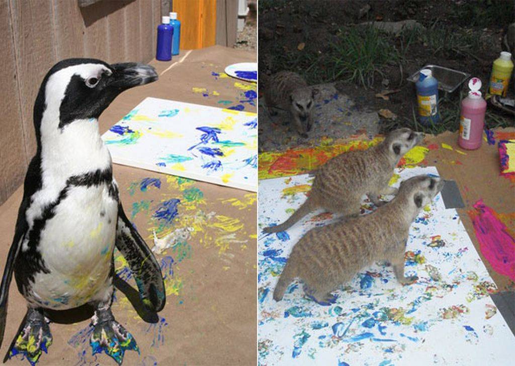 Animais de diversos zoológicos dos EUA produziram as obras | Divulgação