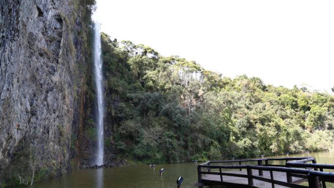 Parque Tanguá, em Curitiba.