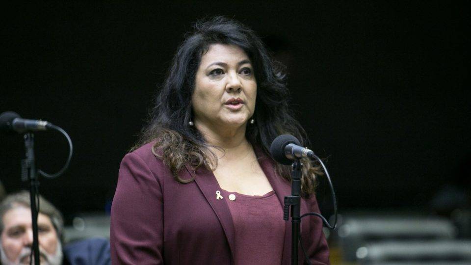 “Vamos colher muitas mortes”, diz Yared sobre projeto que altera Código de Trânsito Deputada Christiane Yared (PR-PR)