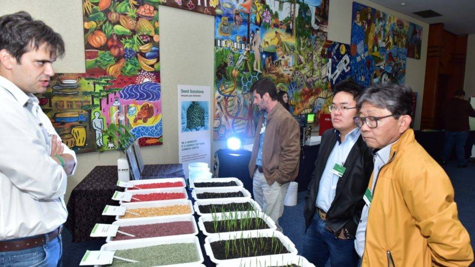 Com nova tecnologia para a soja, Basf quer seguir liderando mercado brasileiro de sementes produtores observam sementes melhoradas geneticamente