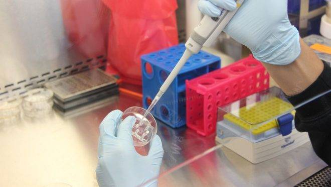 Novo medicamento contra lúpus: recrutamento de pessoas para testes