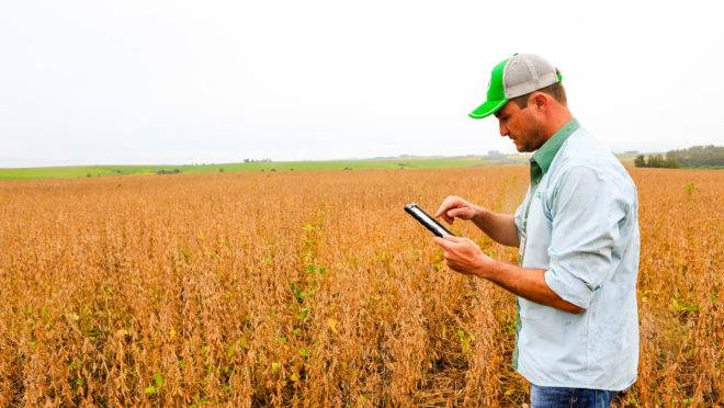 Maurício de Bortolli, engenheiro agrônomo da Sementes Aurora, campeão do Desafio Máxima Produtividade de Soja 2019