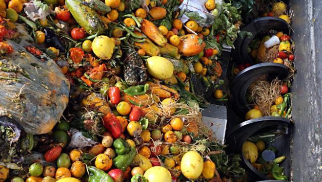 Restos de alimentos são são misturados com lodo de esgoto para produzir o gás que toca os geradores da usina. Fotos: Albari Rosa