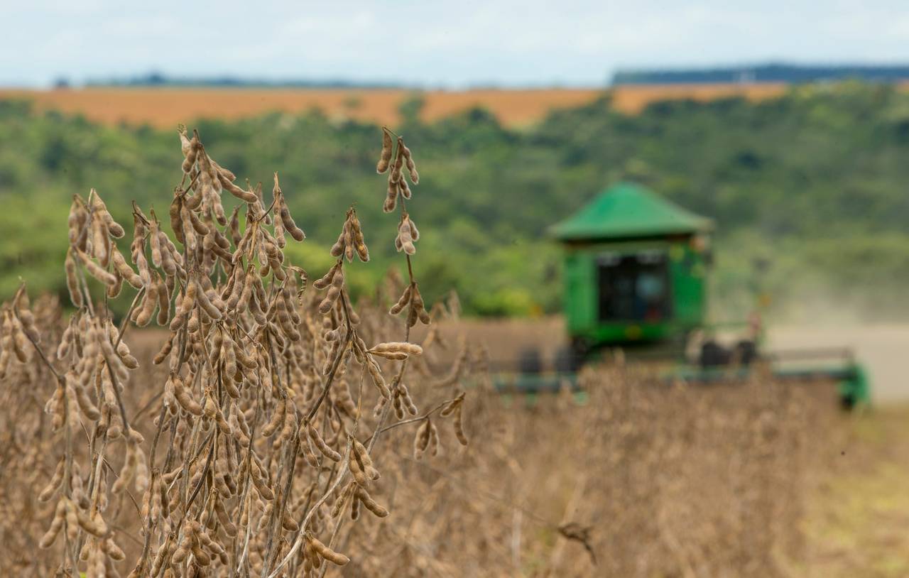 Colheita de soja com colheitadeira no Brasil