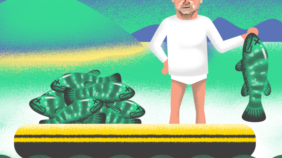 Ilustração mostra o presidente Jair Bolsonaro segurando pescado, em barco repleto de peixes, em alusão à multa que ele levou do Ibama por pesca irregular em Angra dos Reis (RJ)