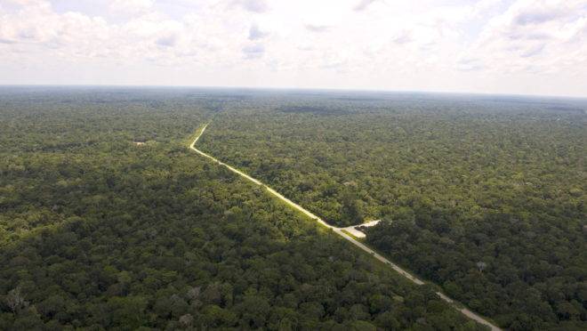 Vista aérea de caminho de duto da Petrobrás entre Manaus e o campo de petróleo de Urucu