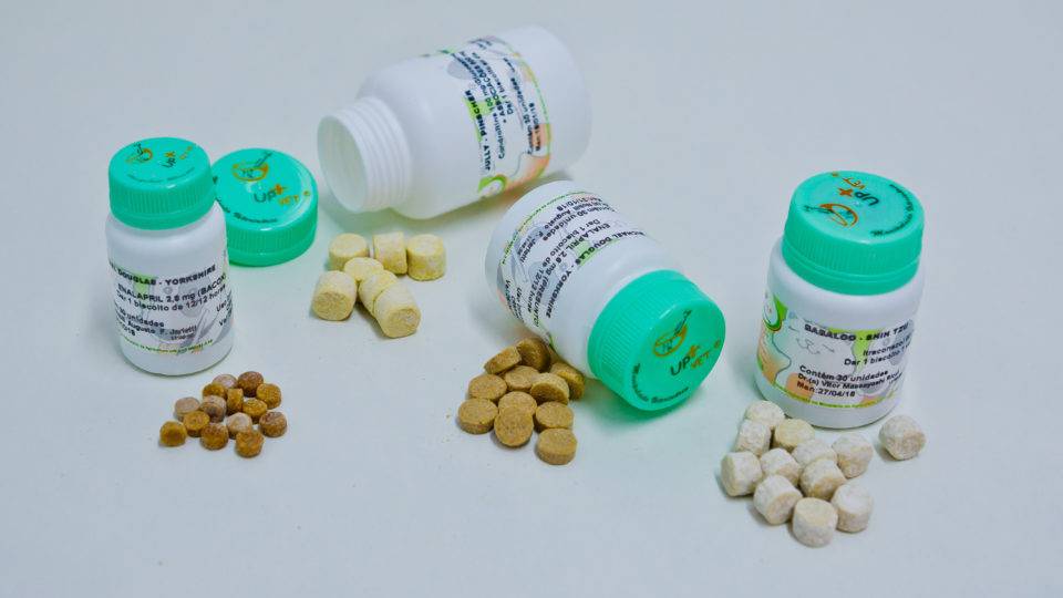 biscoito-vegano-para-cachorro-fatura-12-milhoes-upvet
