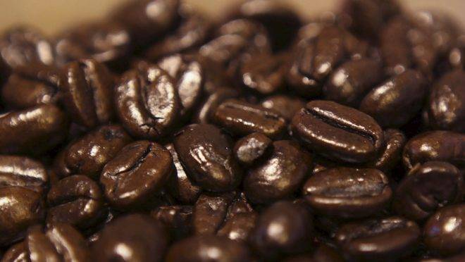 Todos os dez principais destinos internacionais do café brasileiro aumentaram suas compras no ciclo 2018/19.