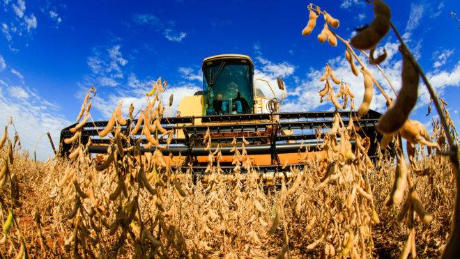 Brasil deve produzir 144 milhões de toneladas de soja em 2028, ante 121 milhões de t dos EUA.