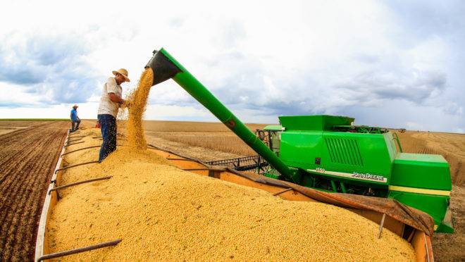 Estimativa para a colheita de grãos no Brasil na safra deste ano deve ser recorde, segundo a Conab. A soja (foto), no entanto, apesar do aumento da área plantada deve ter produção aquém do ciclo anterior.