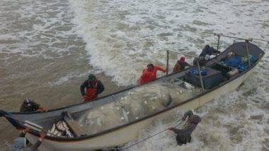 Pescadores de Matinhos pegam 4 toneladas de peixe em uma tarde Pescadores de Matinhos pegam 4 toneladas de peixe em uma tarde