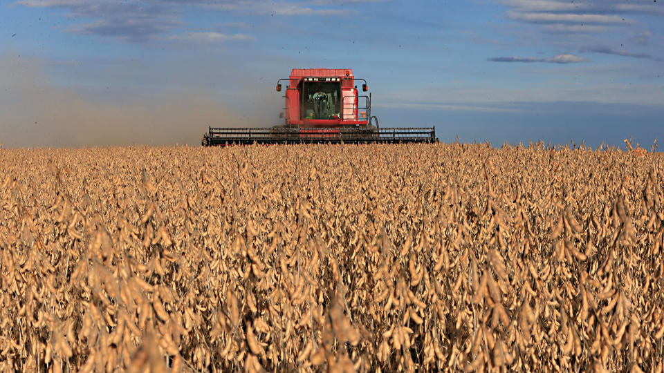 O que está por trás da inflação e da desaceleração do crescimento do país Choque commodities