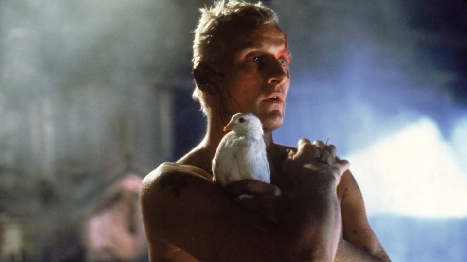 Rutger Hauer na cena final de seu personagem, Roy Batty, em 'Blade Runner'