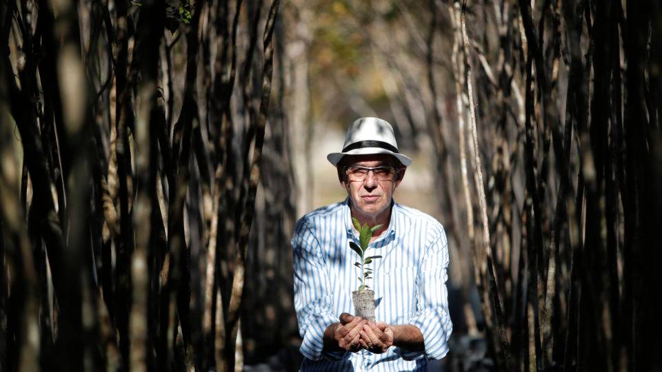 Conheça o engenheiro agrônomo que já plantou 310 mil árvores nas ruas de Curitiba Engenheiro agrônomo Roberto Salgueiro, que completou 40 anos de prefeitura na última semana, trabalhando na parte de arborização urbana.